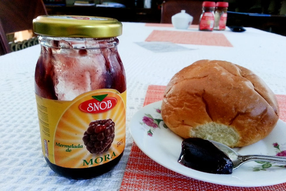 pan y mermelada de mora