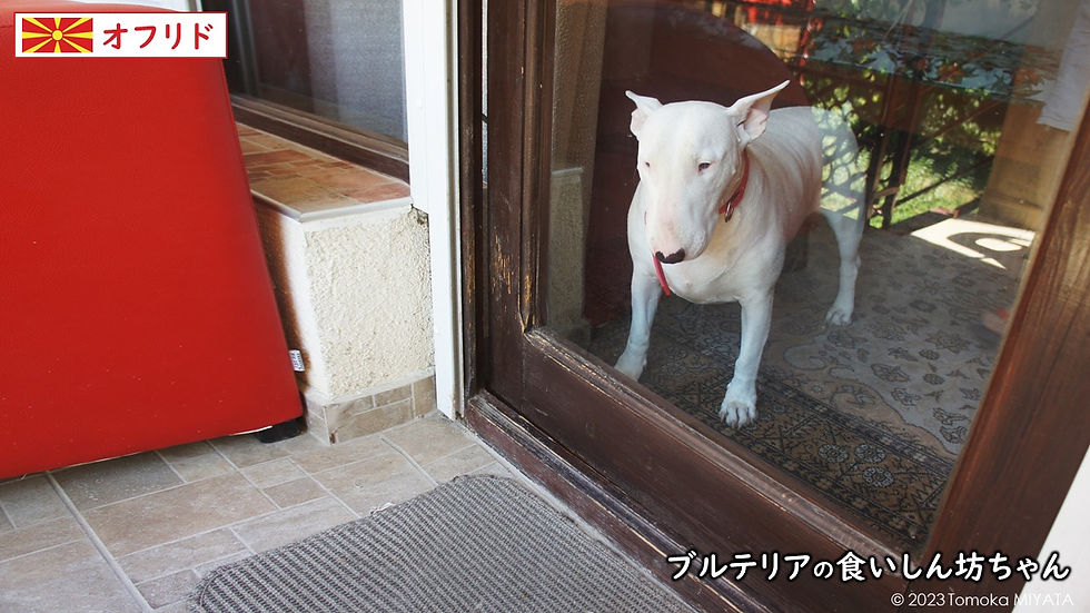 旅のお話 ~北マケドニア~(プレゼン資料より)