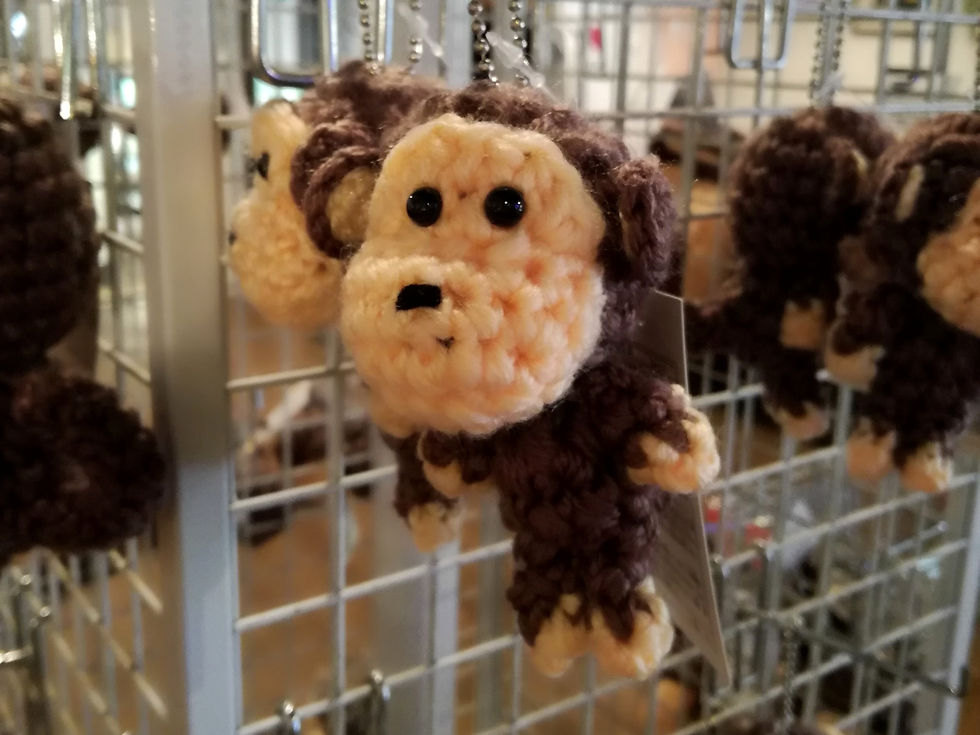Snow Monkey Park