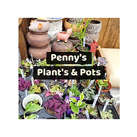 Penny's Plants and Pots.png