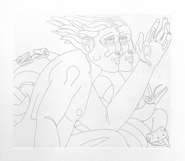 Two Faced 13 x 15cm_edited_edited_edited