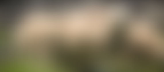 #1. PROBREED MATERNAL.