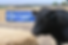 TOP OF BREED
GENOMICALLY ENHANCED
PERFORMANCE DRIVEN GENETICS