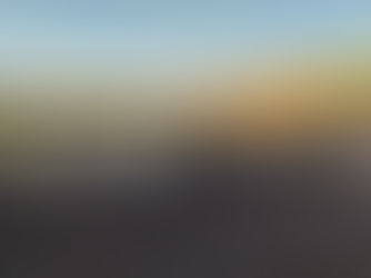 #4. NEWS FLASH ~ PROBREED PLUS EWES FOR SALE