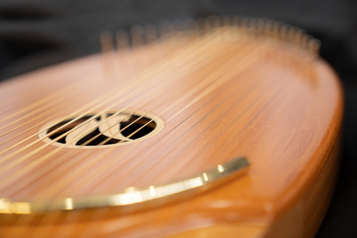 Deluxe Reverie Harp | Roberts Music