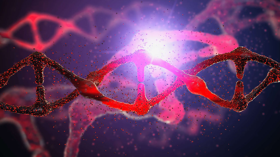 ProBreed strives for excellence within the Australian Lamb Industry and the role of genetics cannot be overstated.