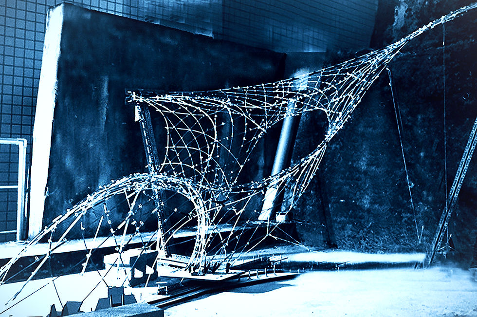 Autonomous Vaulting Construction