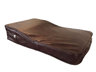 Therapy Cushion.JPEG