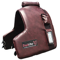 back cushion1.png