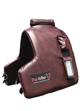 Equine Cushion.jpeg