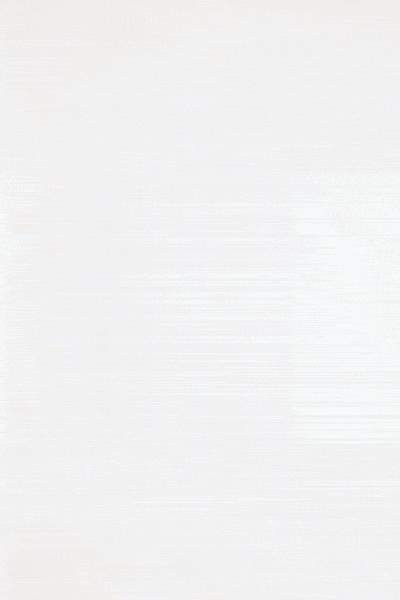 LeoLin-PF26.gif
