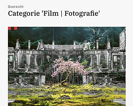 Brabant Cultureel:
Gentle German soldier preferred flowers to bullets