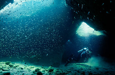 Diving in perhentian
