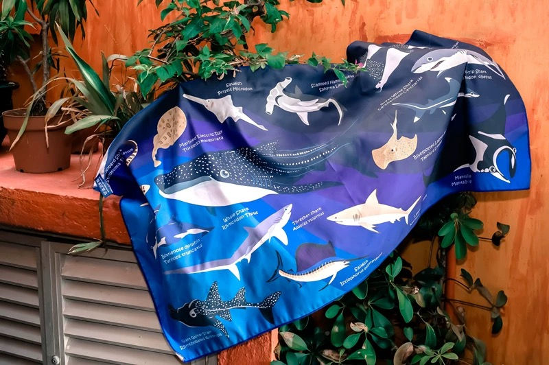 縮圖：Fast Dry Towel Oceanarium