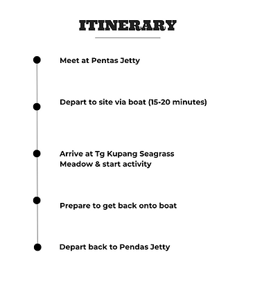 Seahorse Tagging Itinerary (1).png