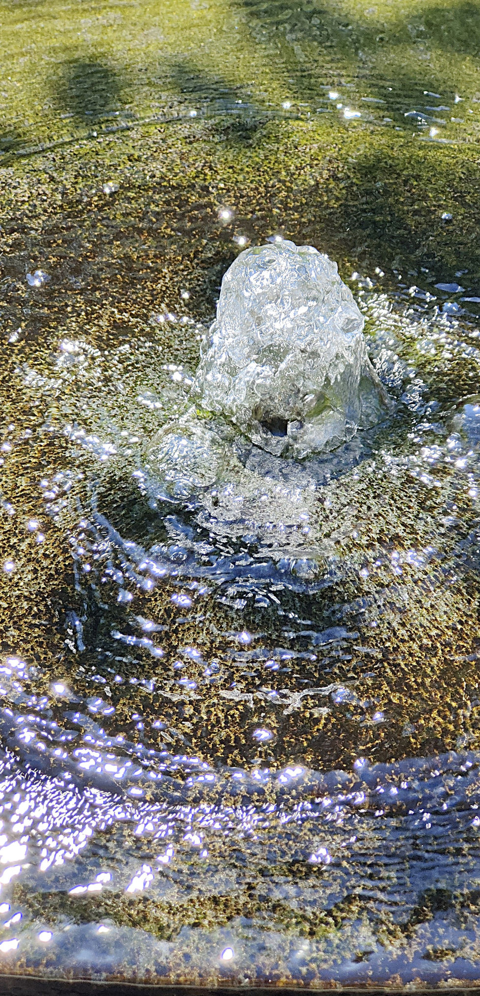 IMG20250514131747