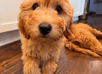 1104FFF4-8D4D-4845-BE2F-55F22686AF11_edi