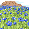 Cartoon bluebonnets_edited.jpg