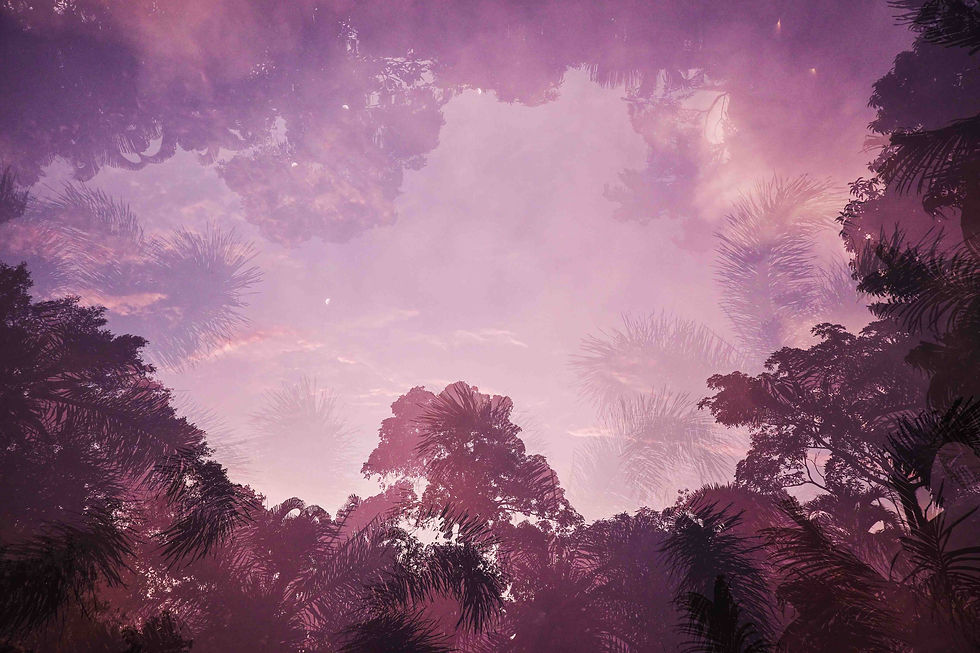 A sunset double exposure.