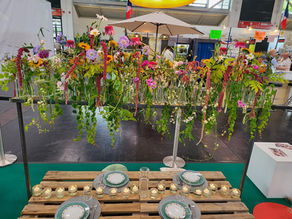 Heinz-Czeiler-Cup 2023: Anmeldefrist verlängert! Noch Startplätze frei!