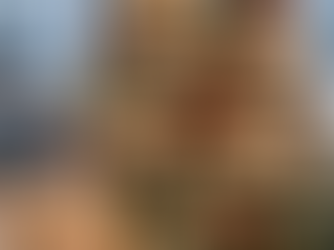 Jahresausklang und Betriebsferien