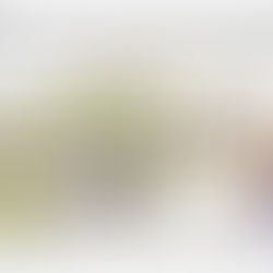 Umzug der GS Hamminkeln