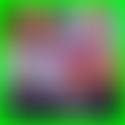 Around The World Today Series 2 Episode 15 - Election Day 2019