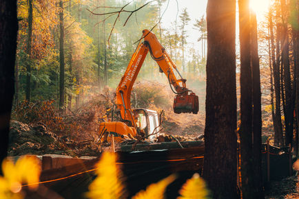 Western (1 of 1).jpg