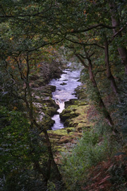 Autumnal Strid