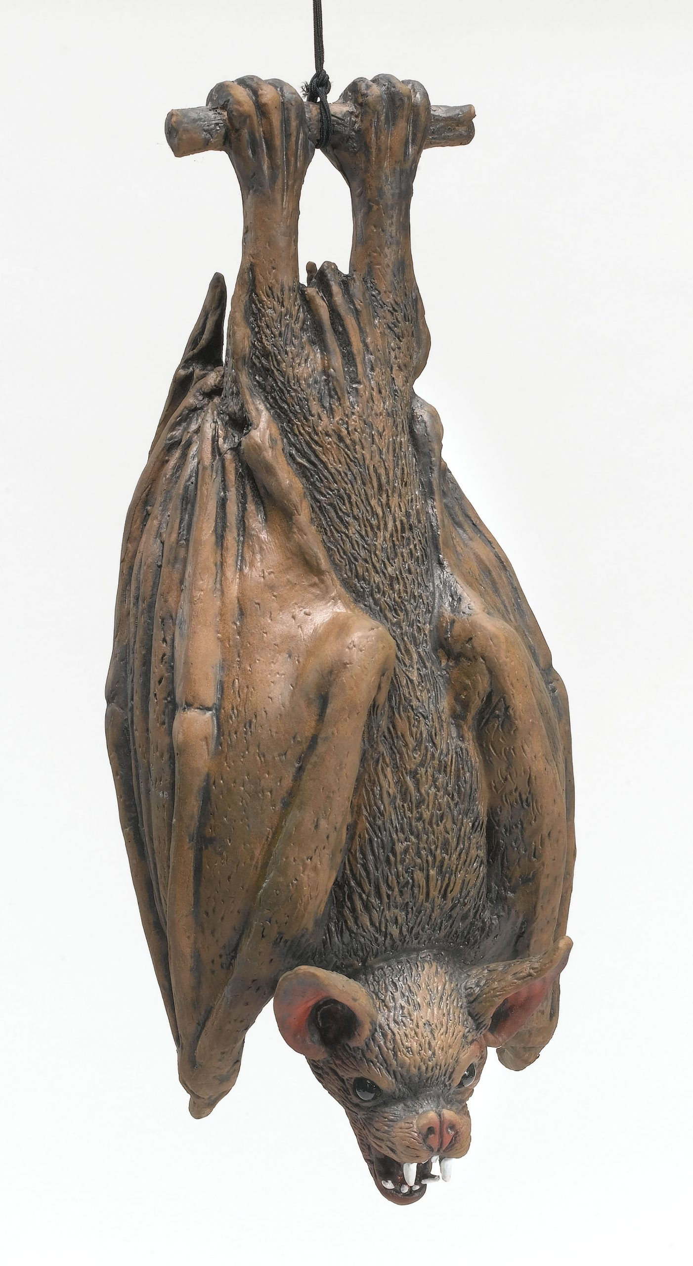 Upside Down Hanging Bat