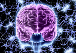 The 3 P's of Brain Remodeling: Puberty, Pregnancy, and Perimenopause