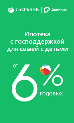 Господдержка_6_240х400.gif
