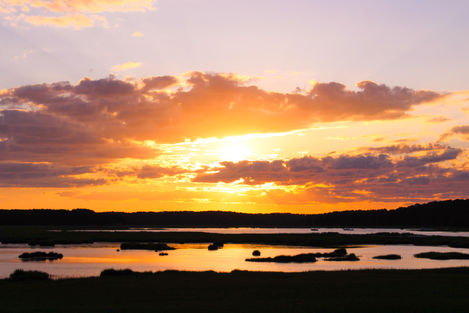 The Marsh