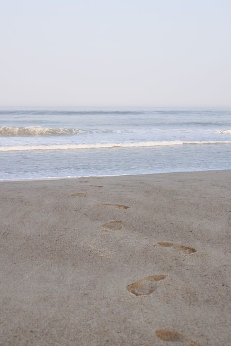 Path to the Shore