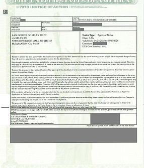 129 L-1A approval LI for BZ_Redacted_Page_1.jpg