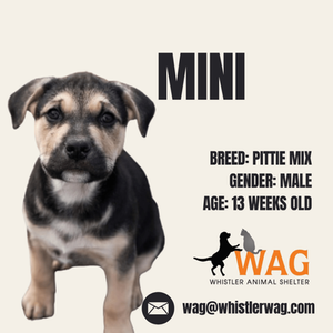 Mini me