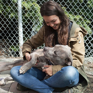 Sponsor a WAG Animal