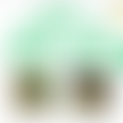 Spring Fling Photo Winners