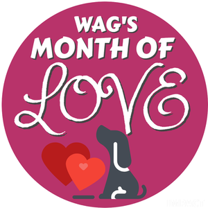 WAG’s MONTH OF LOVE