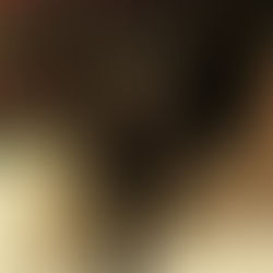 Bonnie – Adopted January 2022!