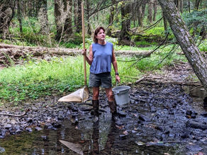 The Who, What, When, Where, Why and How About Going Native in the Backyard