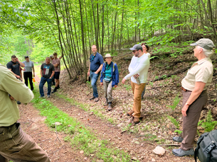 Sustainable Forest Management Field Tour