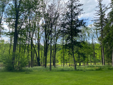 Centre Gives donors visit ClearWater's newest property