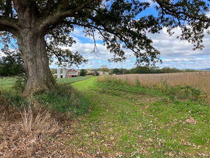 Newly Preserved Smith Farm Aids in Clean Water and Air; Maintains Working, Scenic Farmland
