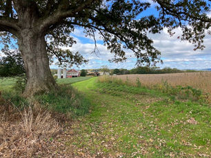 Newly Preserved Smith Farm Aids in Clean Water and Air; Maintains Working, Scenic Farmland
