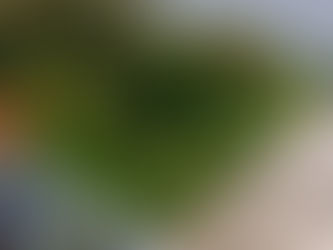 Nosotros, como capitalinos (nacidos en la ciudad de Panamá), desde pequeños escuchamos cosas como: "Los chiricanos se creen mucho", "Los chiricanos creen que tienen todo", etc., y no fue hasta este 2026 que pudimos materializar realmente el significado de estas frases.