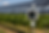 immagine SVoltAI draft02.png