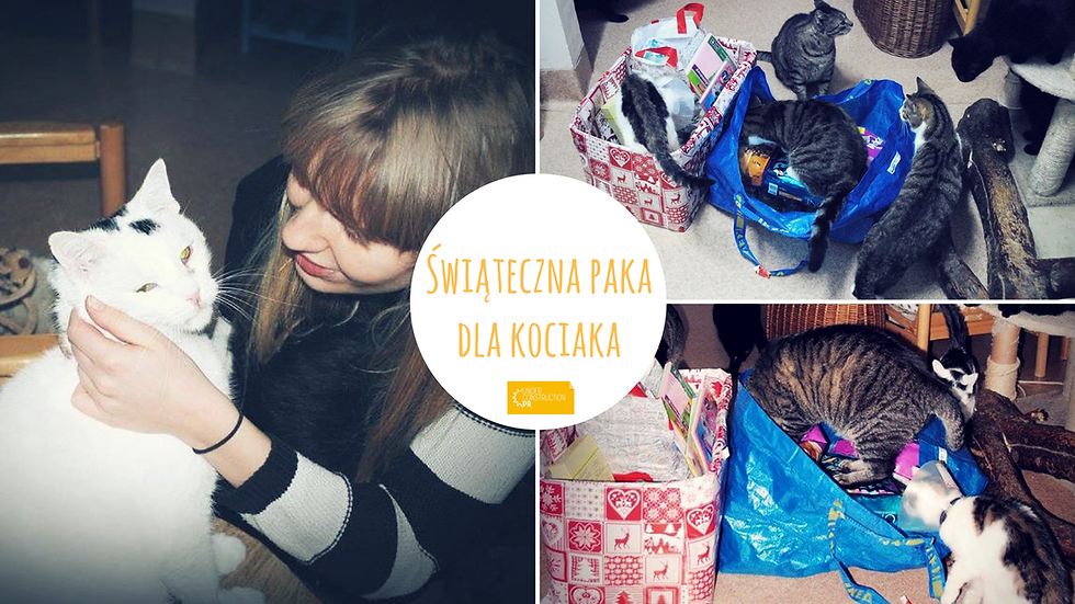 Świąteczna #PakaDlaKociaka