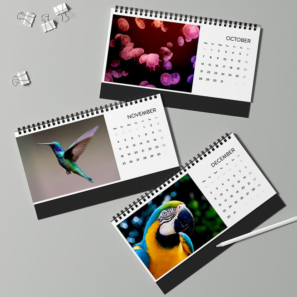 Miniatura: Animals calendar (2024 grid)