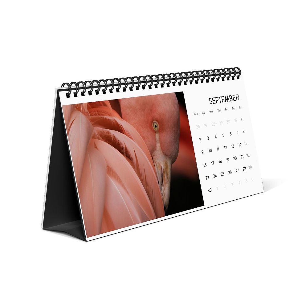 Miniatura: Animals calendar (2024 grid)